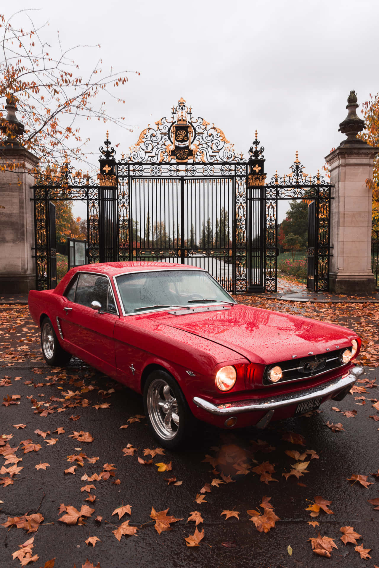 First Generation Ford Mustang Vintage Car Wallpaper
