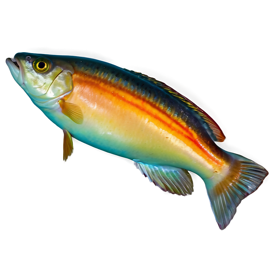 Fish A PNG