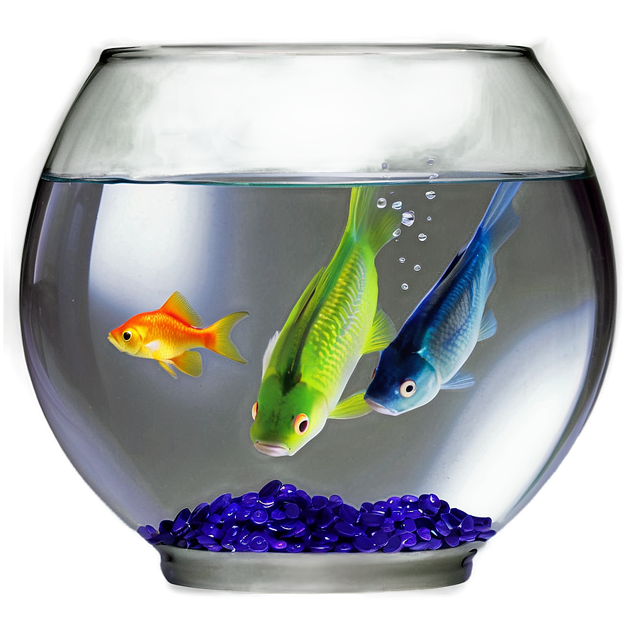 Fish Bowl Png 04292024 PNG