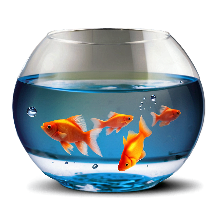 Fish Bowl Png Nxk6 PNG