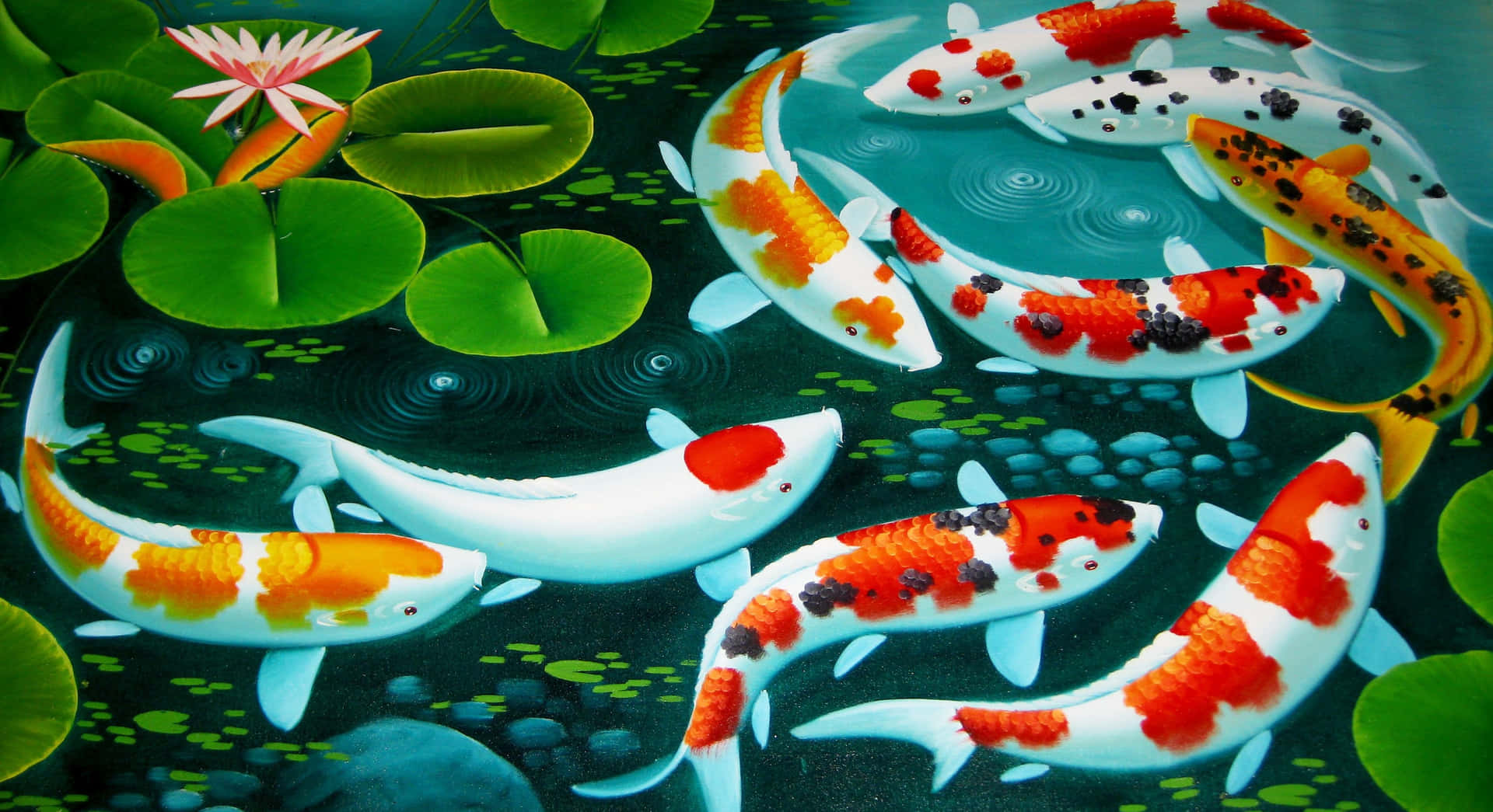 Et Stjernespændende Close Up af en Utroligt Farvet Fisk Wallpaper