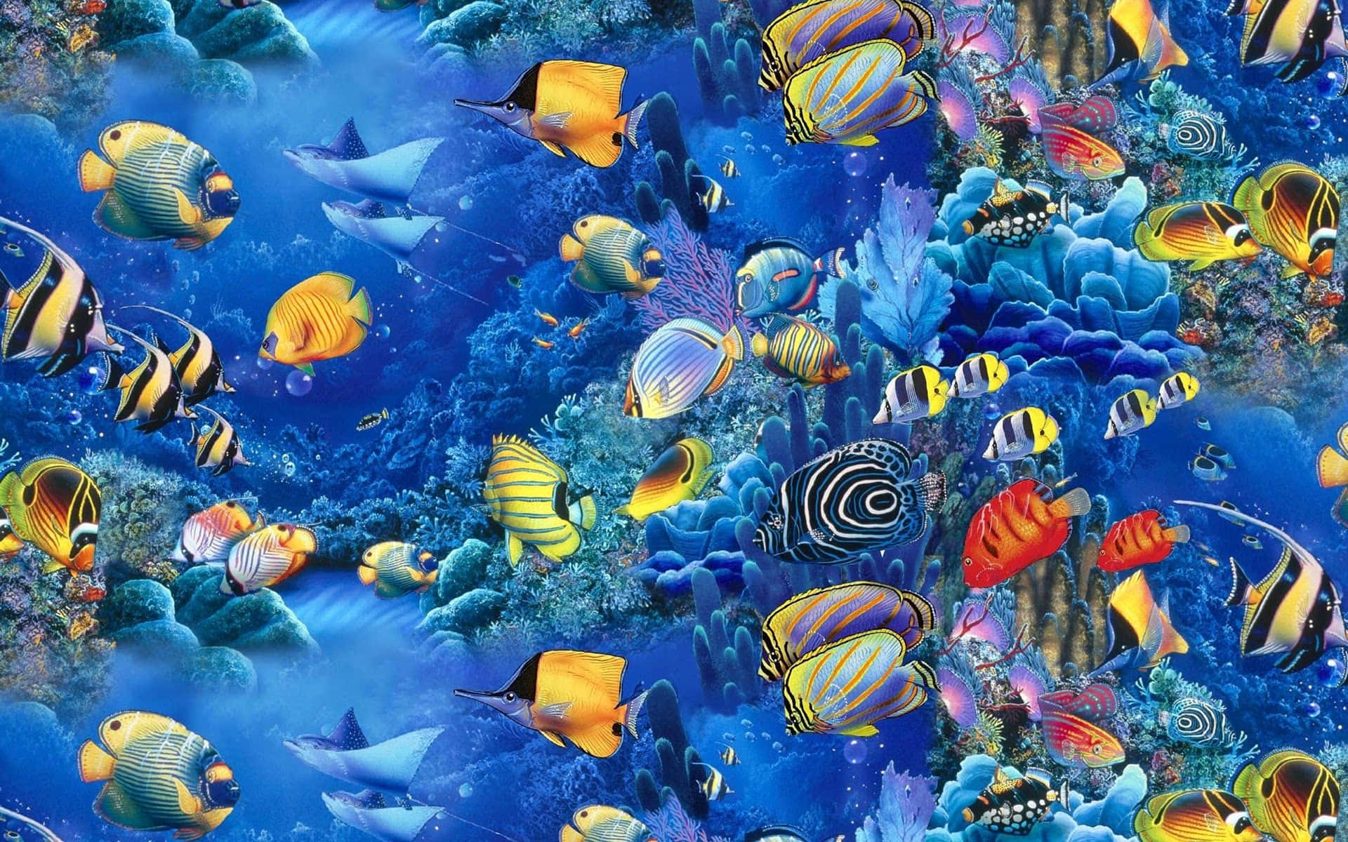 Bakgrundsbildför Datorn Eller Mobilen: Simmande Fiskar Under Havets Yta. Wallpaper
