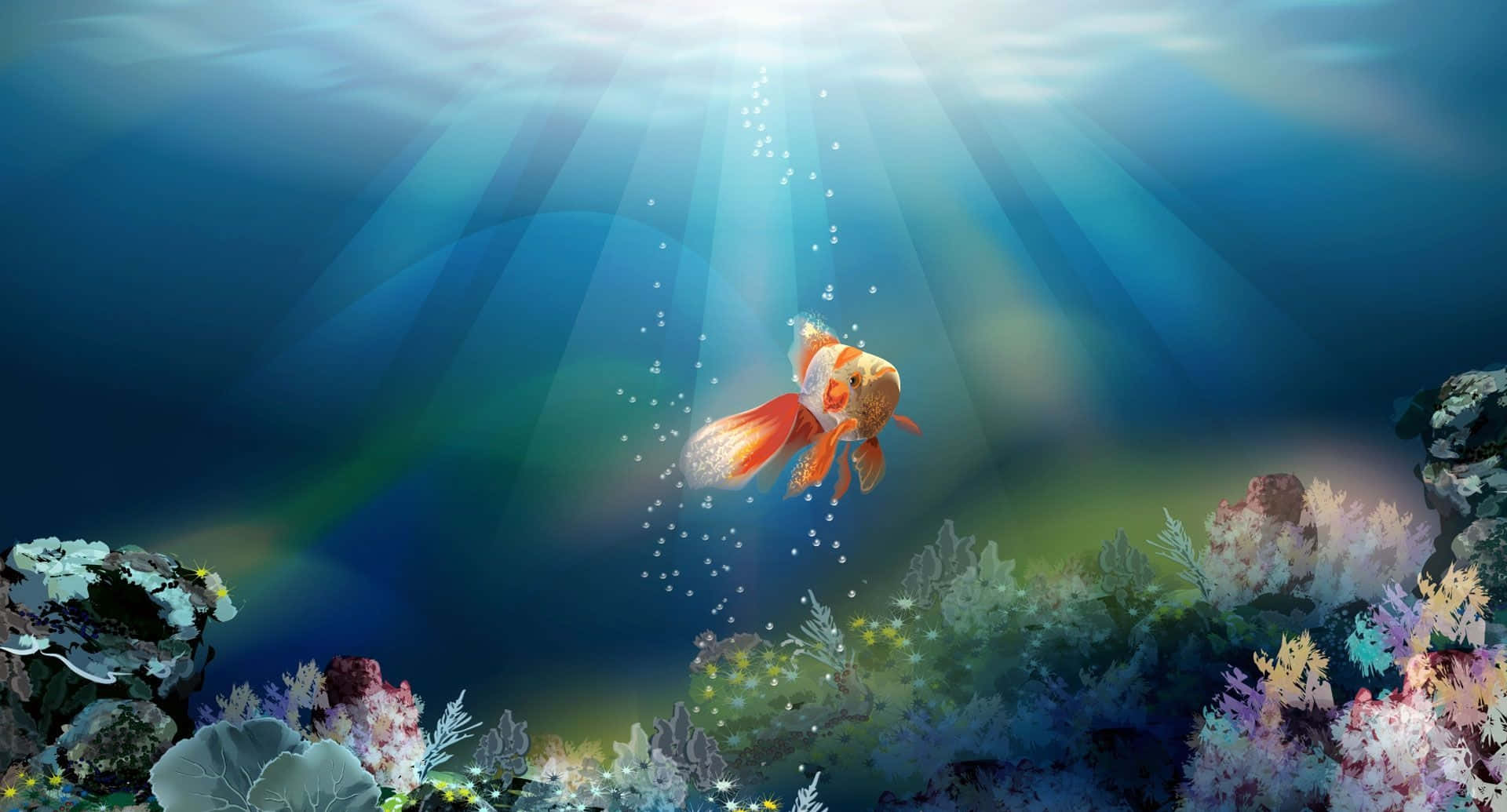 Lone Ocean Goldfish Desktop Wallpaper