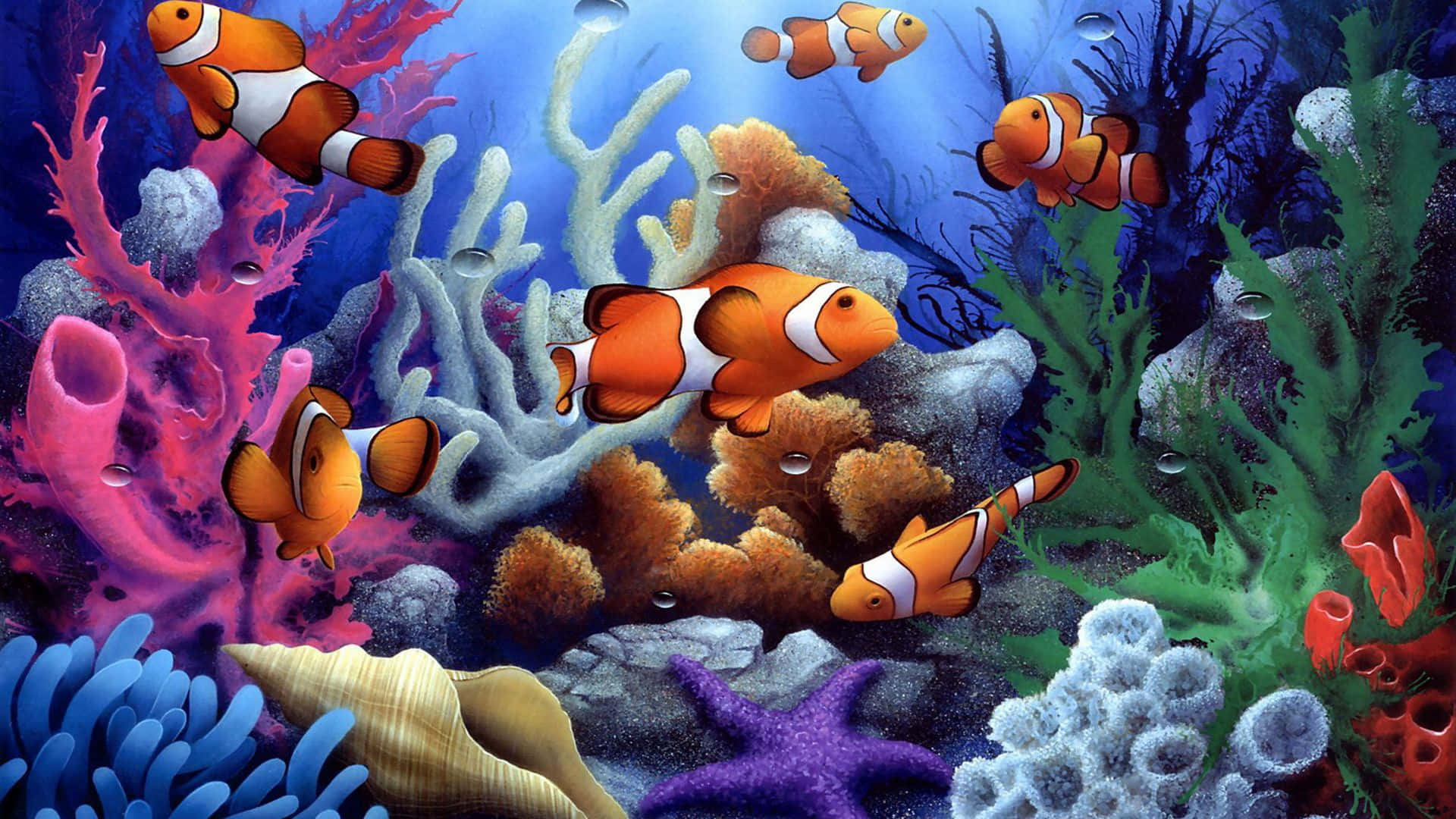 Colorful Fish Swim in the Blue Ocean Wallpaper