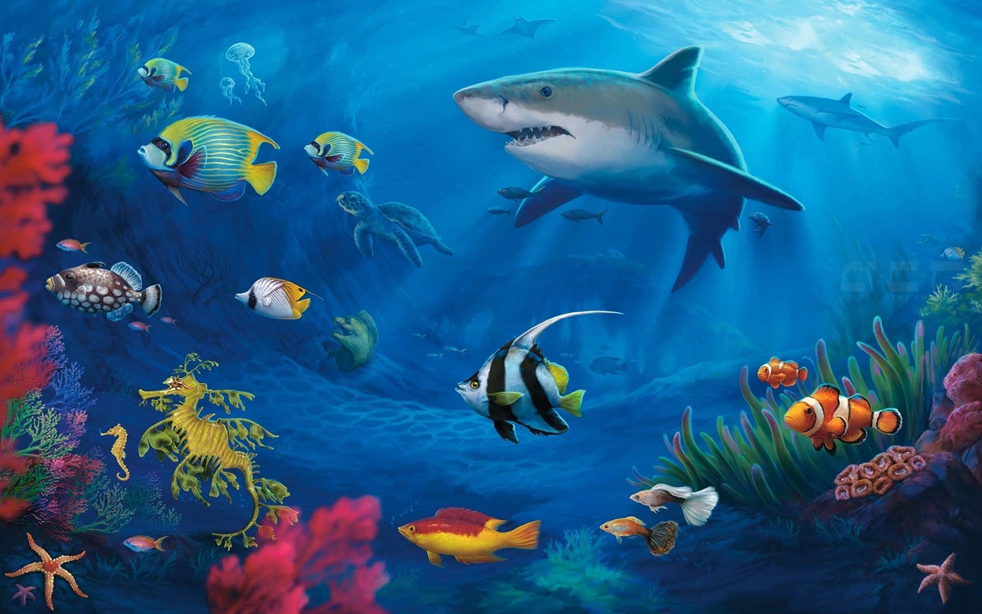 Colorful Fish Desktop Wallpaper Wallpaper