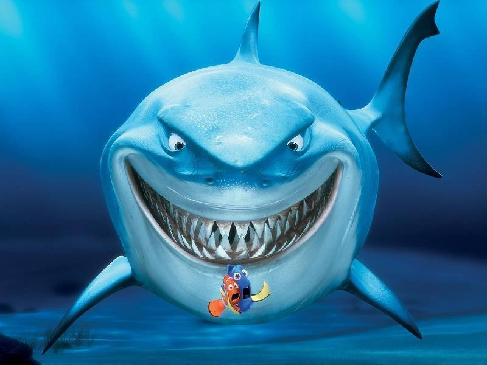 Fish Dory And Nemo Shark Attack