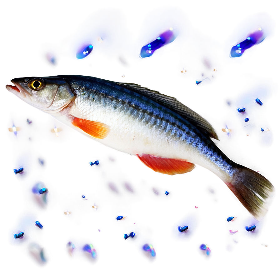 Fish Fillet Png 30 PNG