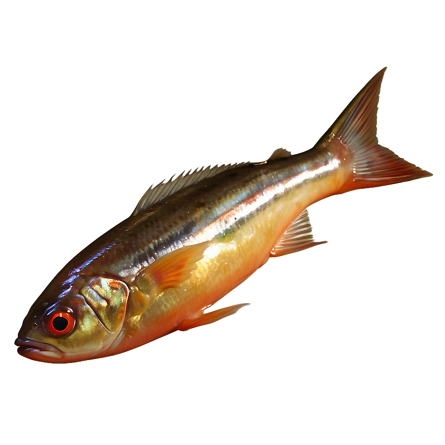 Fish Food Png Ypm50 PNG