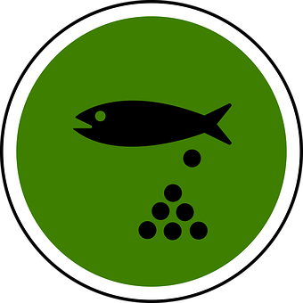 Fish Icon Green Background PNG