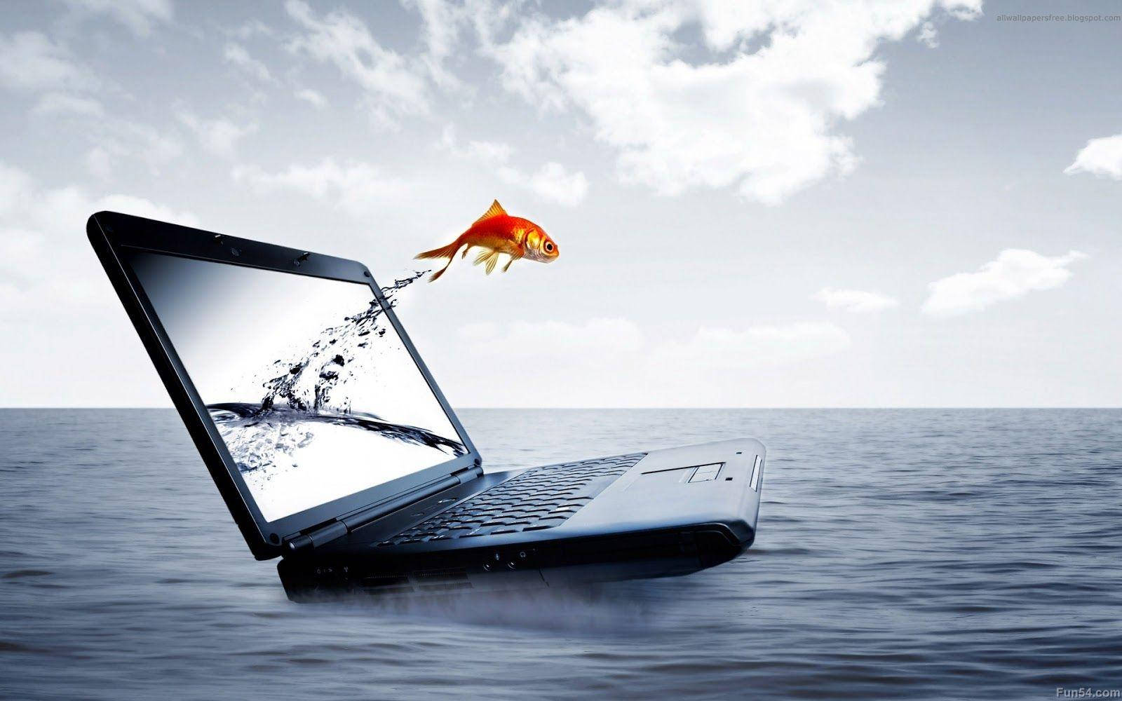 Fish Out Of Laptop