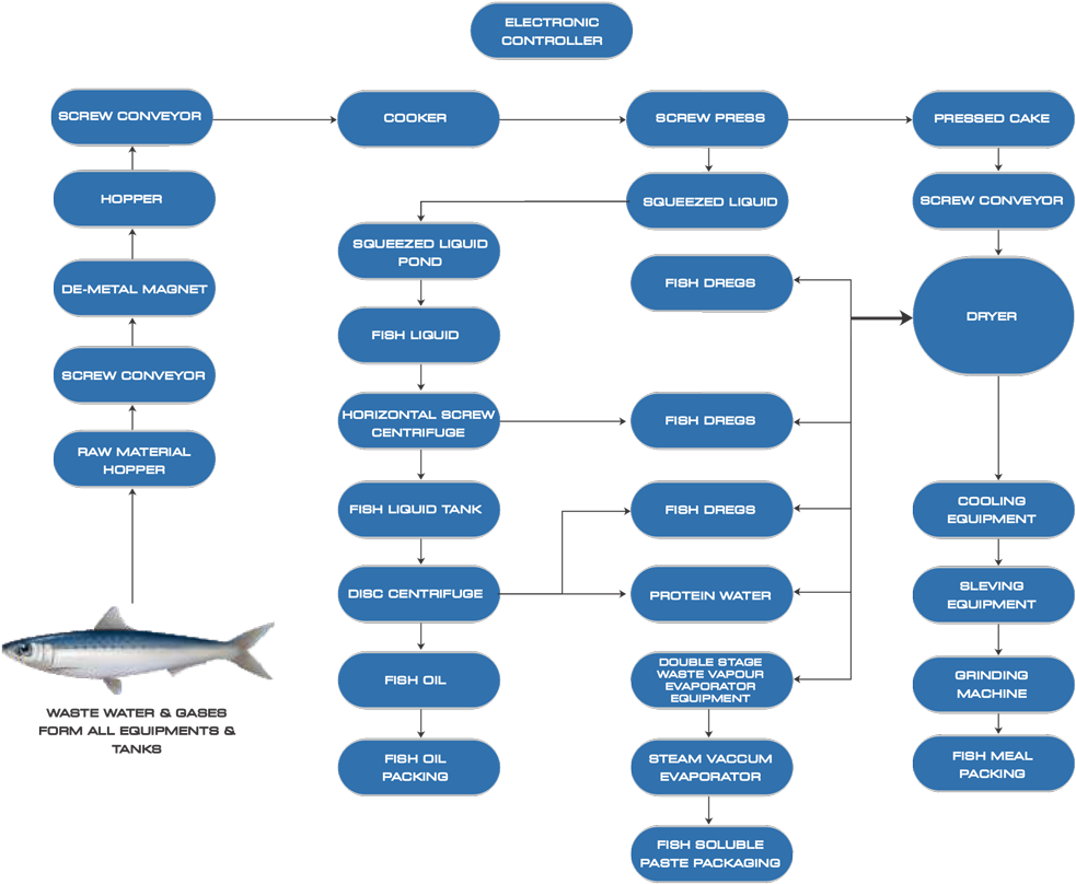 Fish Processing Flowchart Diagram PNG