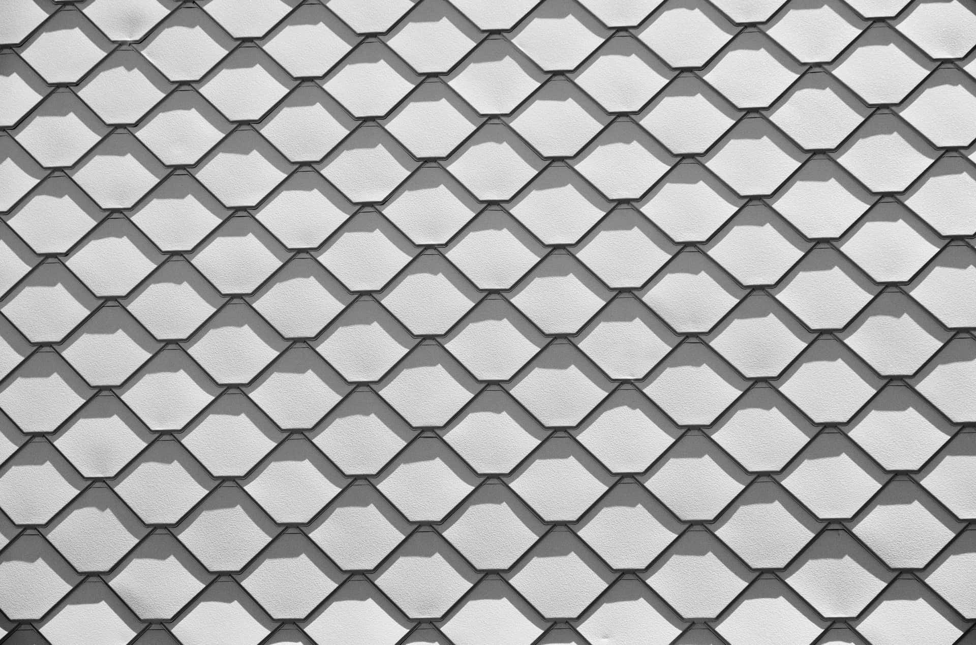 100+] Fish Scale Wallpapers