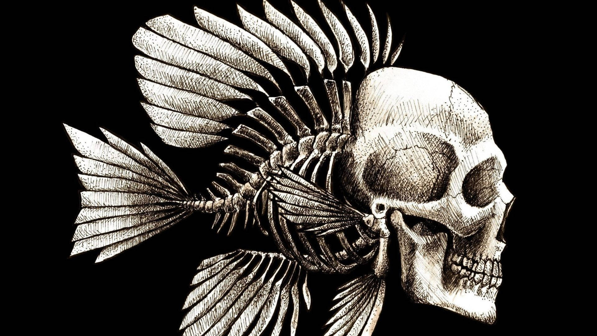 Fish Skull Dark Abstract Wallpaper