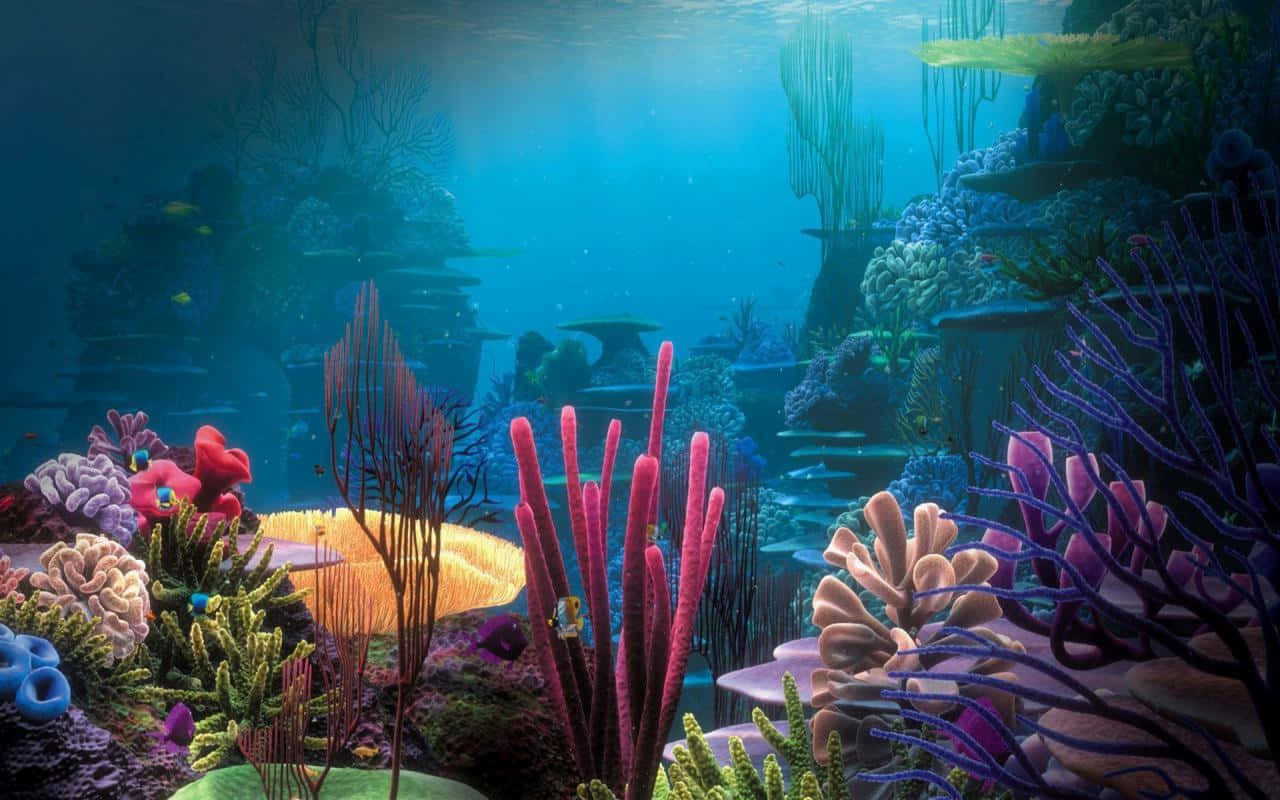 Colorful Corals Fish Tank Background