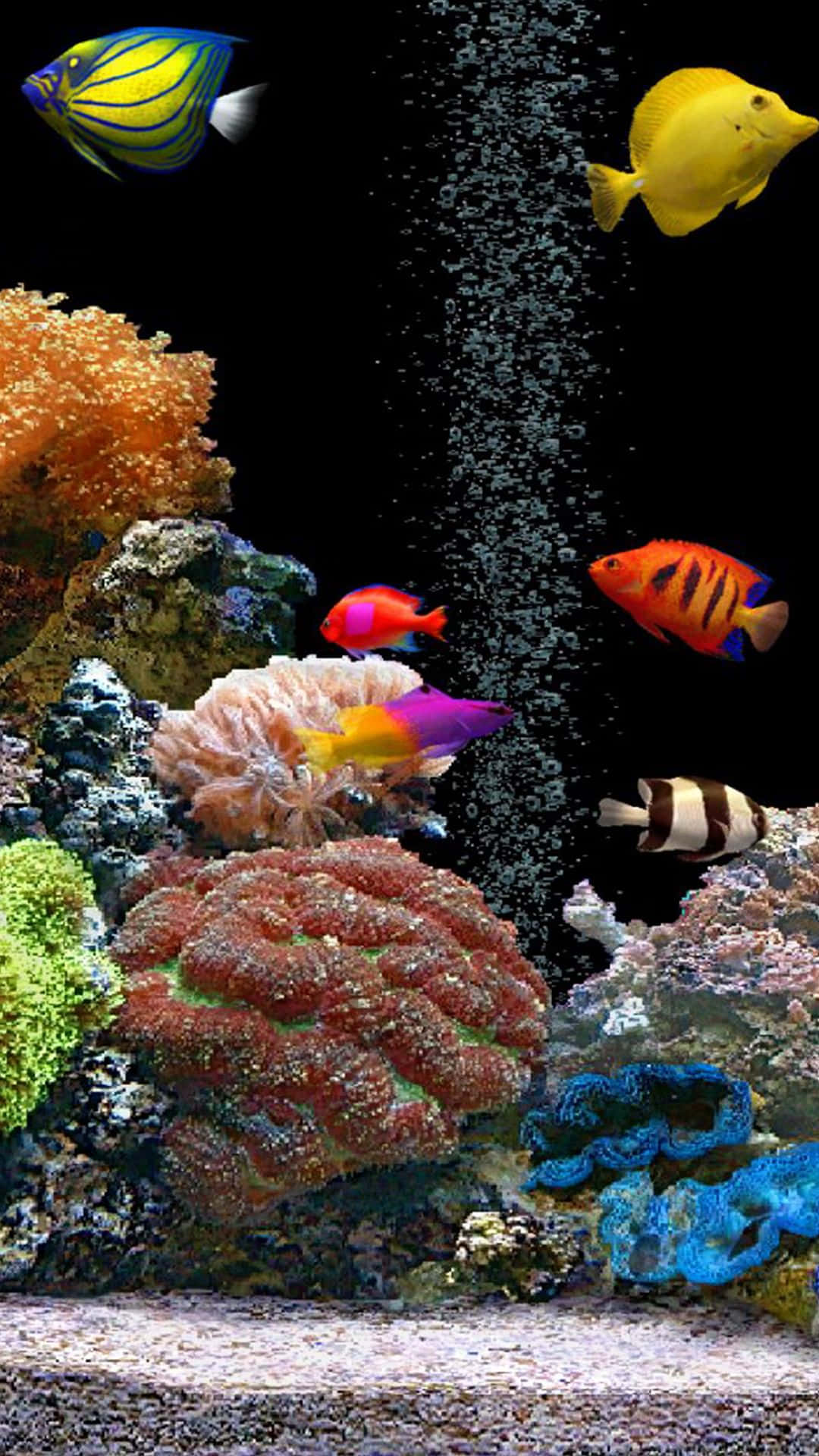 Akvarium med bobler fisk tank baggrund tapeter