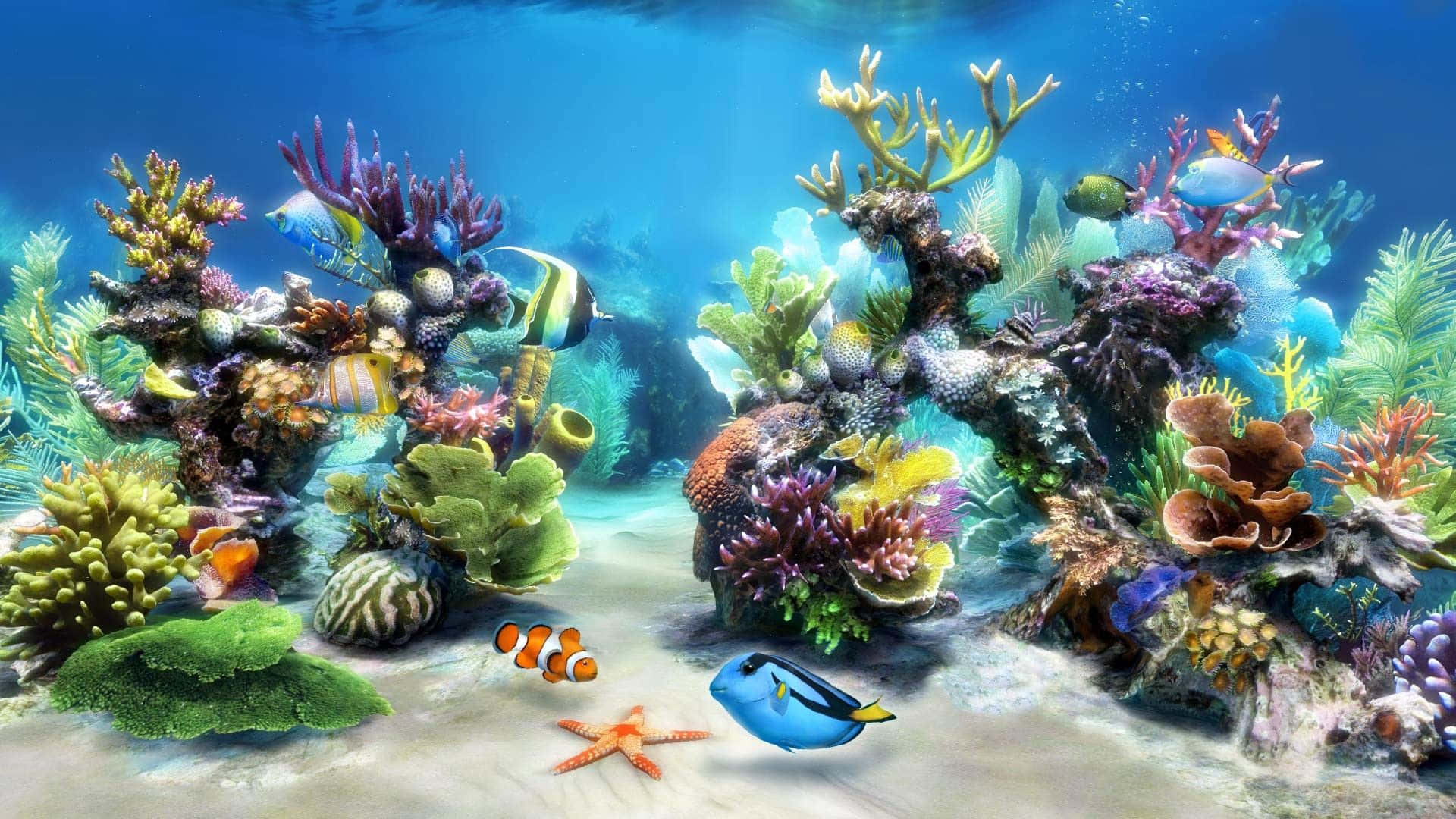 Sfondorealistico Per Acquario Con Nemo E Dory
