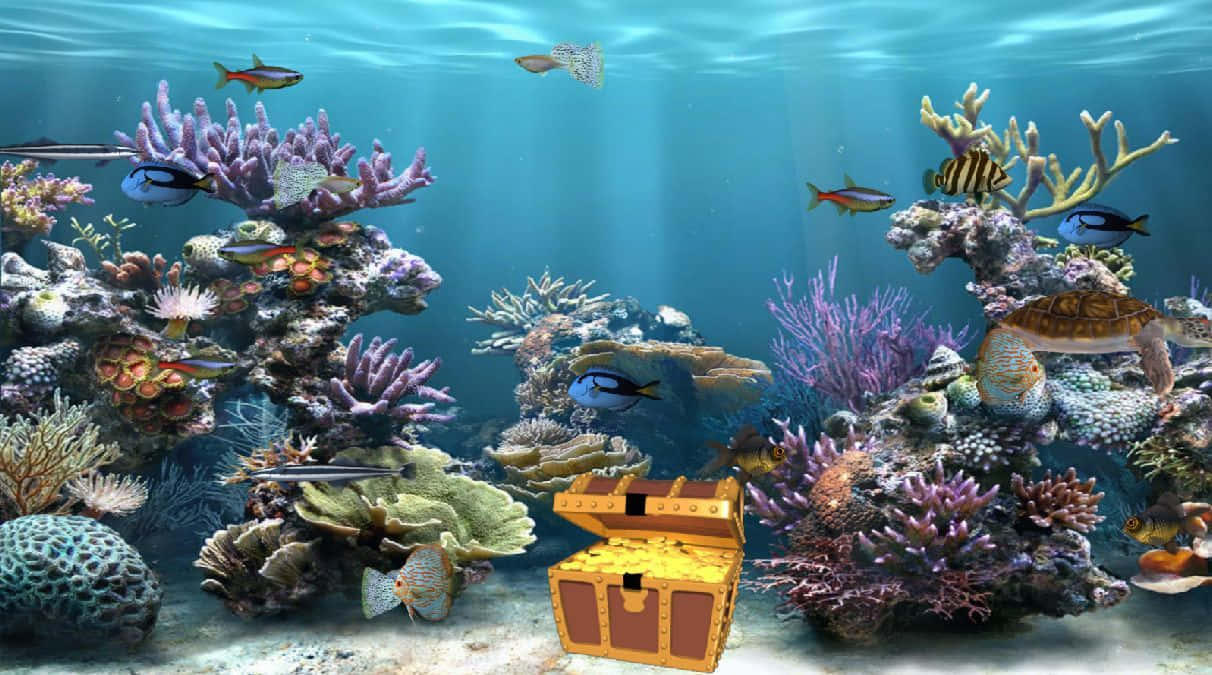 Gold Treasure Fish Tank Background