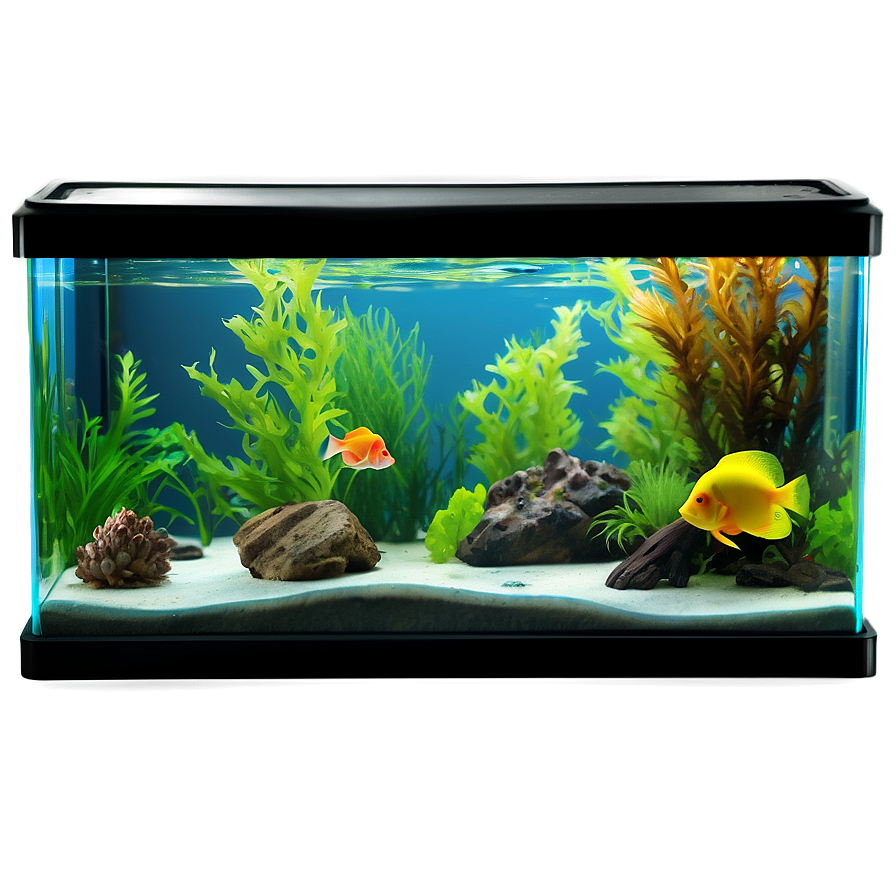 Fish Tank D PNG