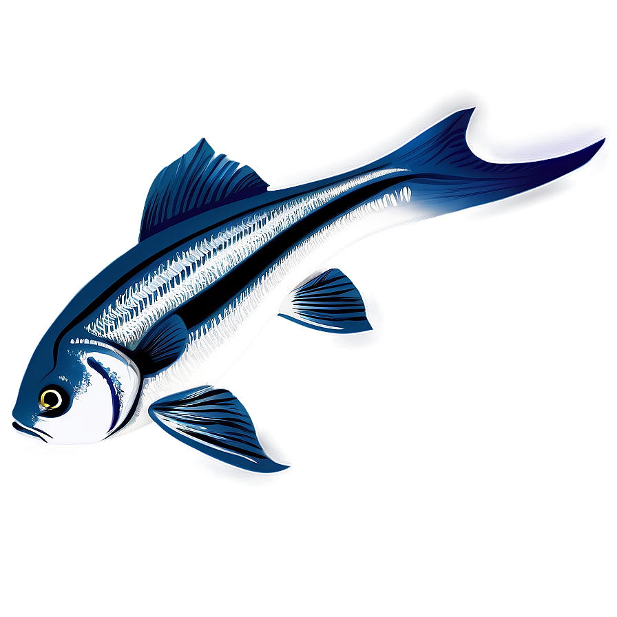 Fish Vector Png 04292024 PNG