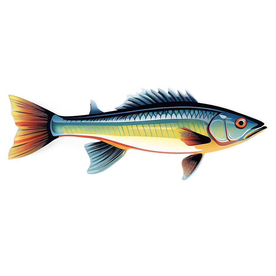 Fish Vector Png Bys PNG