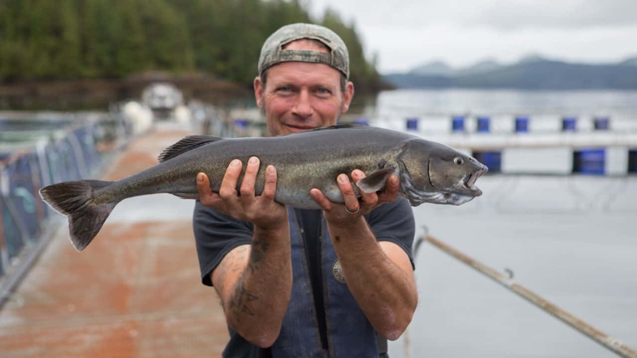 Fisherman Holding Sablefishat Aquaculture Farm Wallpaper