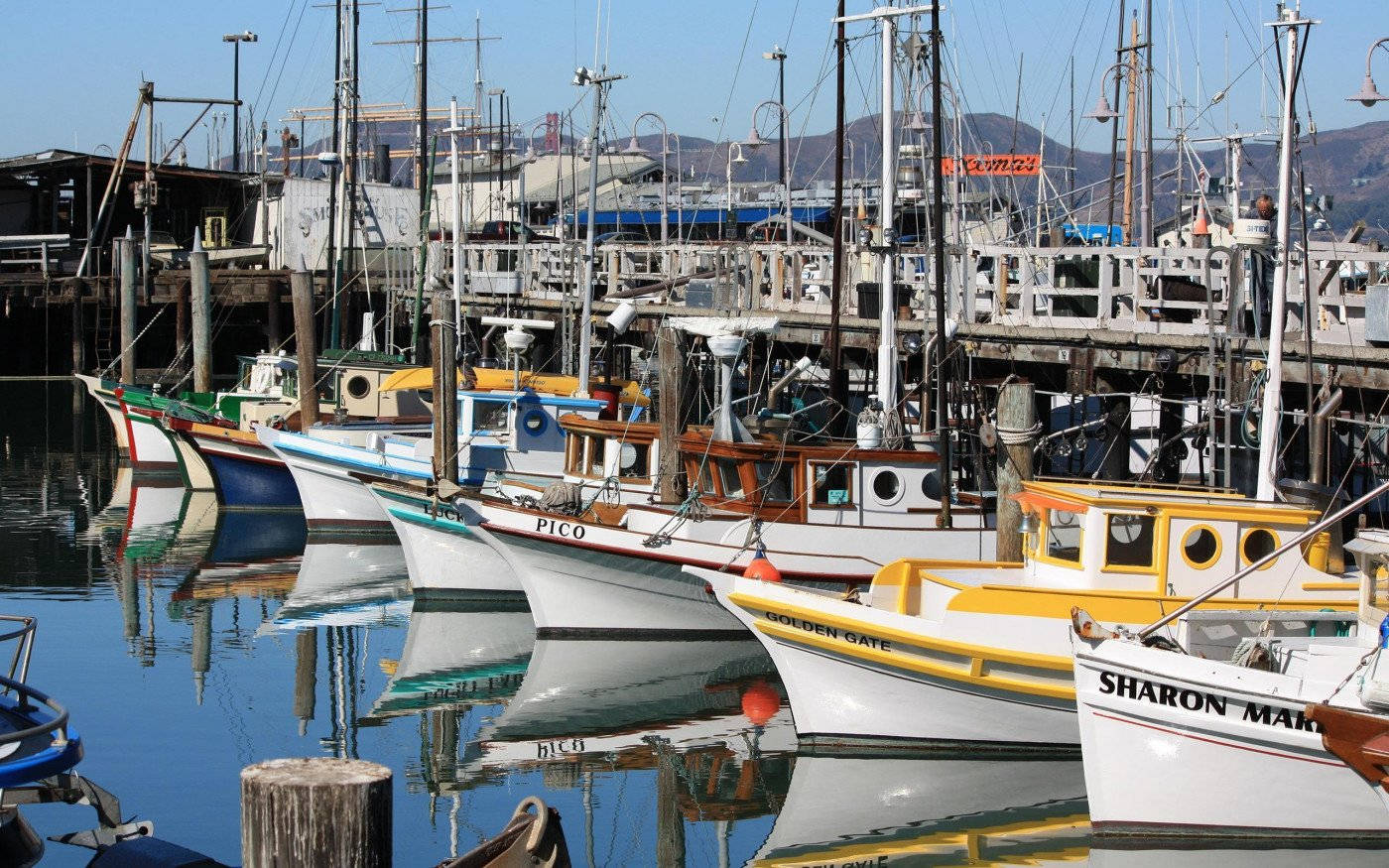 Fishermans Wharf Boats Lined-Up Wallpaper
