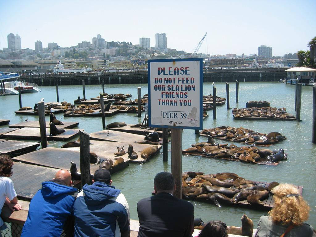 Fishermans Wharf Pier 39 Warning Sign Picture