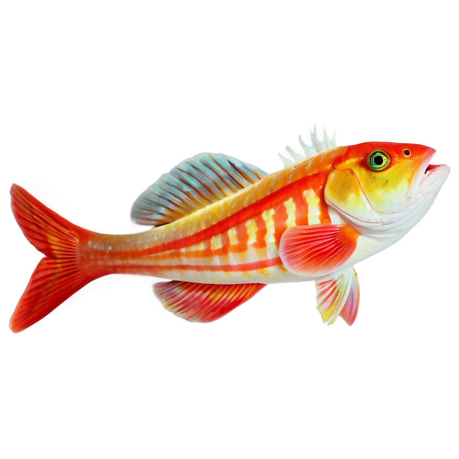 Fishes A PNG