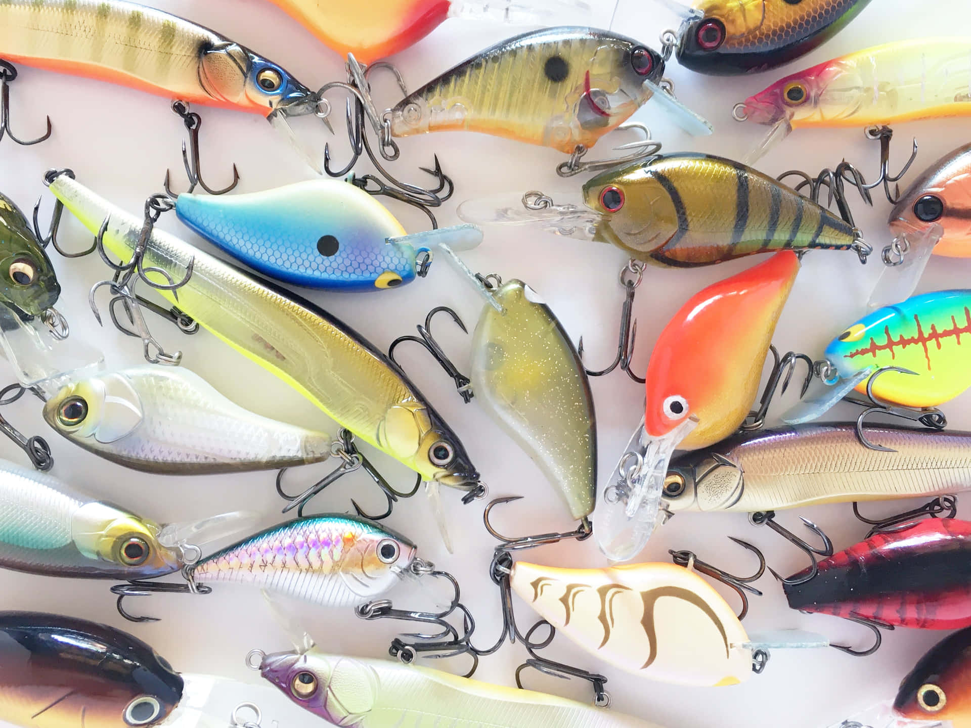 A Stunning Variety of Fishing Baits Wallpaper