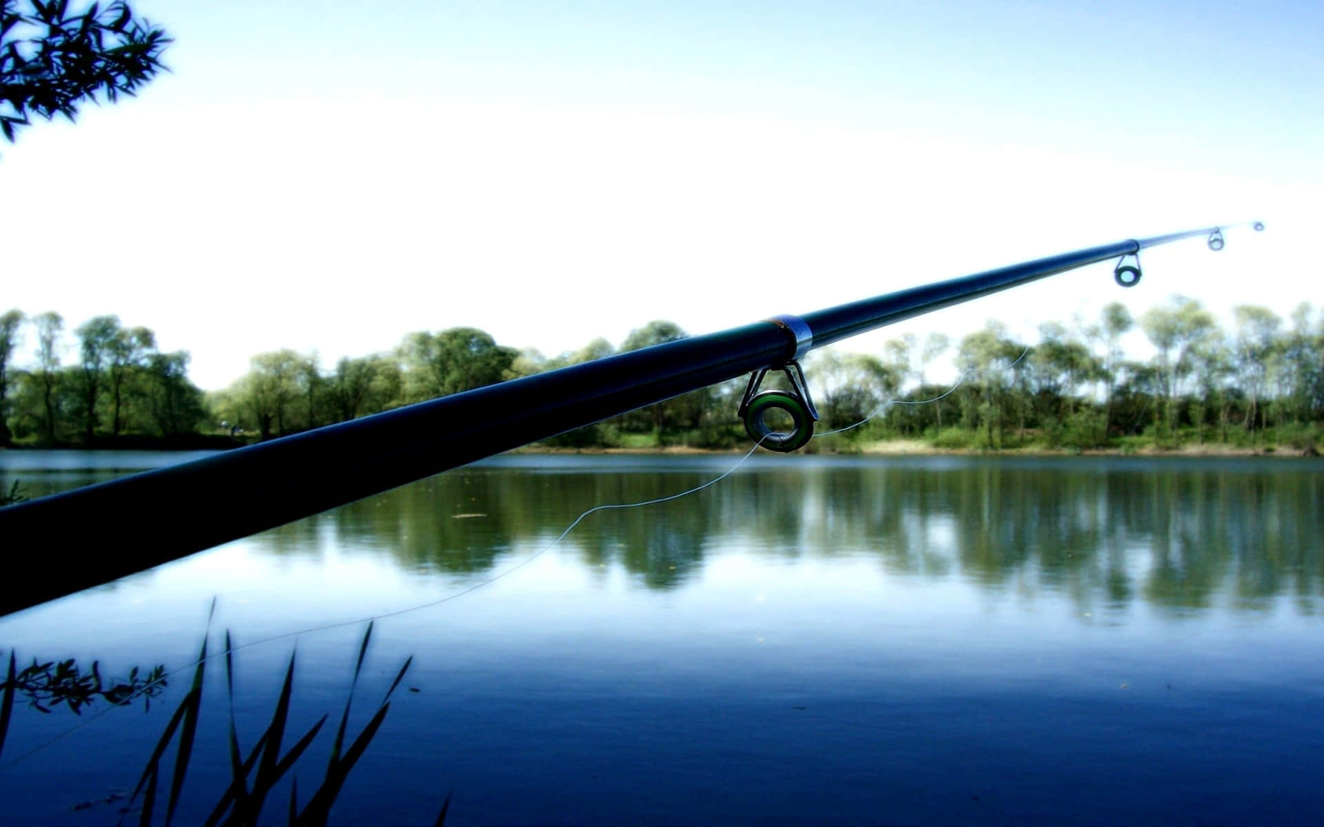 Professional angler with a fishing rod Wallpaper