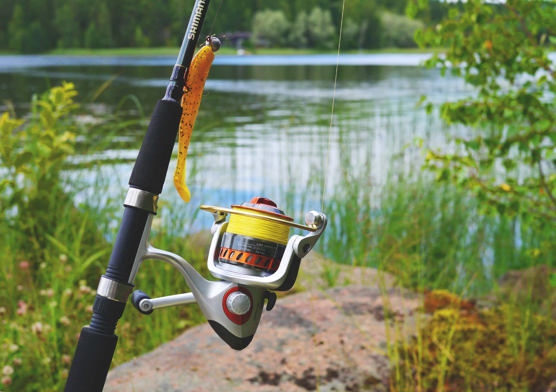 Angler holding a fishing rod with a scenic view of on open water Wallpaper