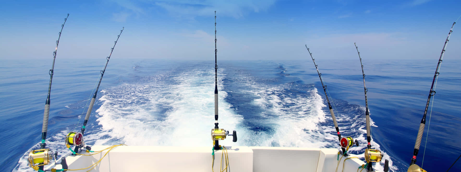 Professional angler casting a fishing rod at the serene lakeside Wallpaper