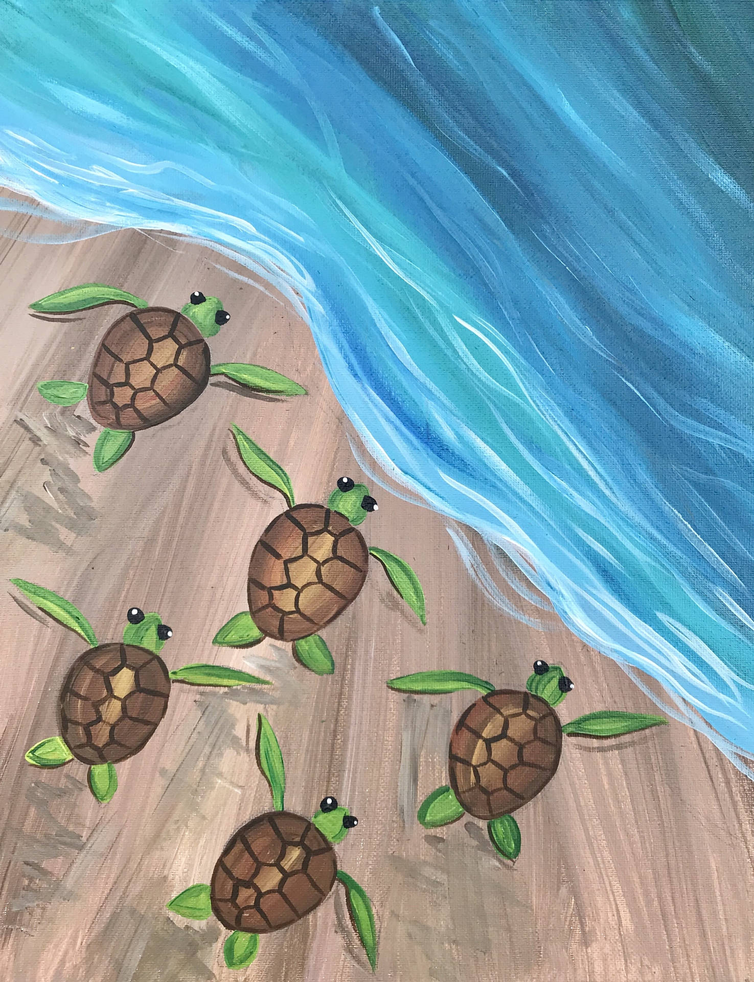 Five Cute Turtles On Seashore Wallpaper