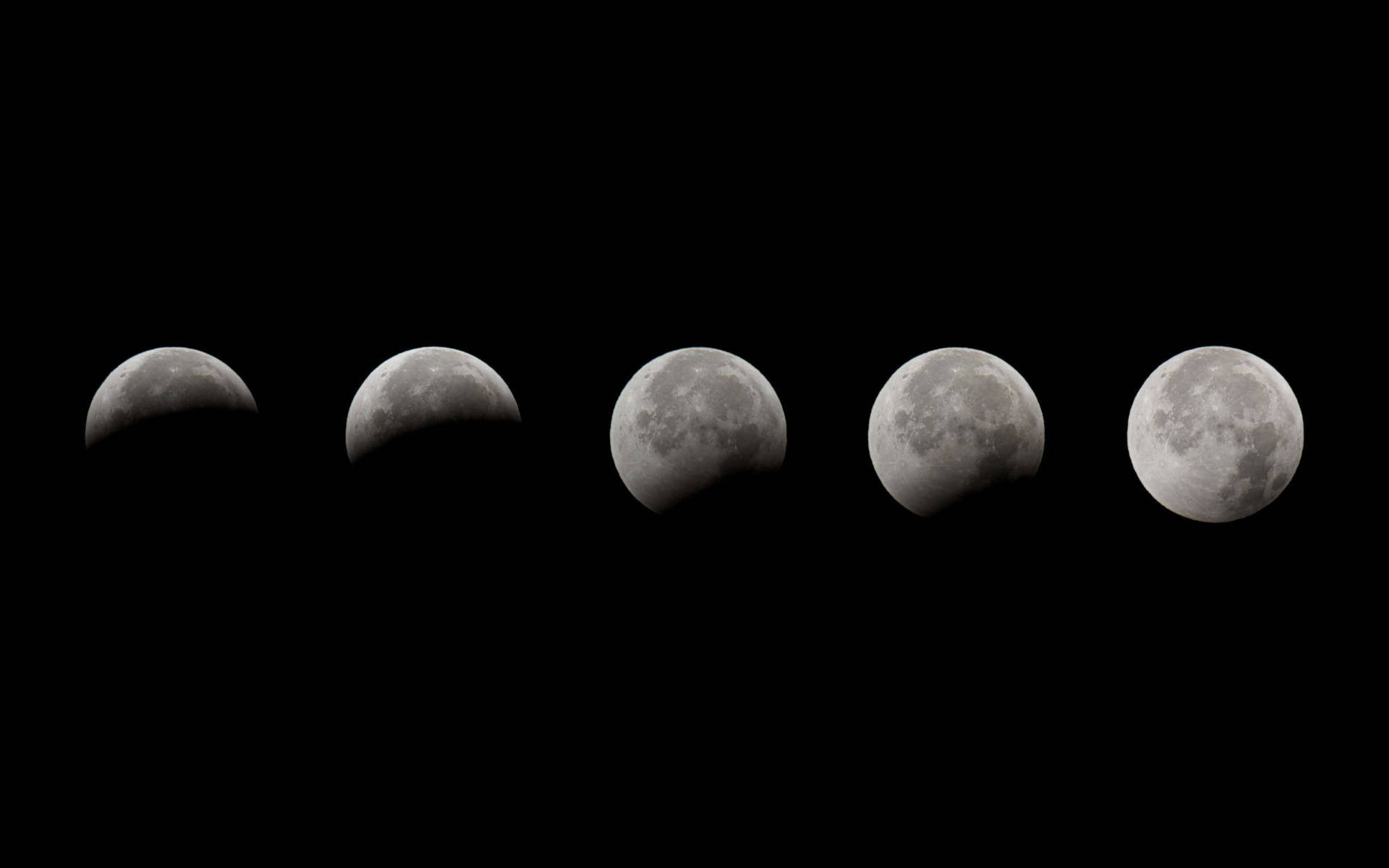 Five Moon Phases Wallpaper