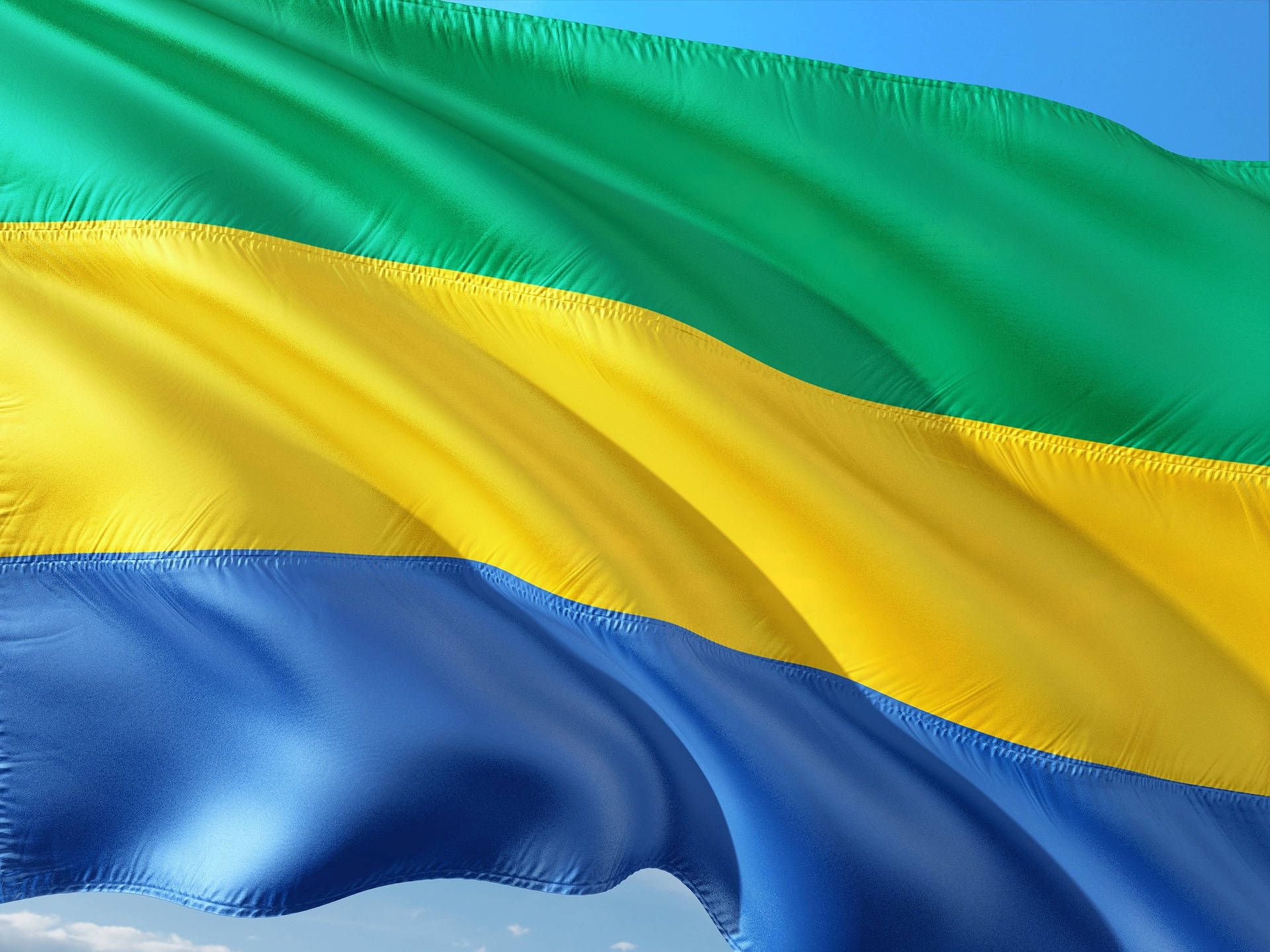 Flag Of Gabon Background