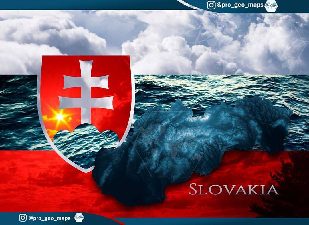 Flag Of Slovakia Artwork