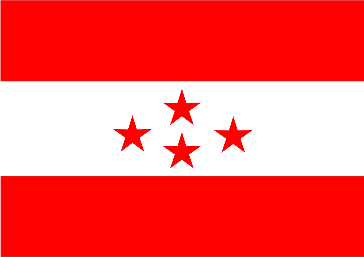 Flag_of_ Nepal_ Communist_ Party.svg PNG