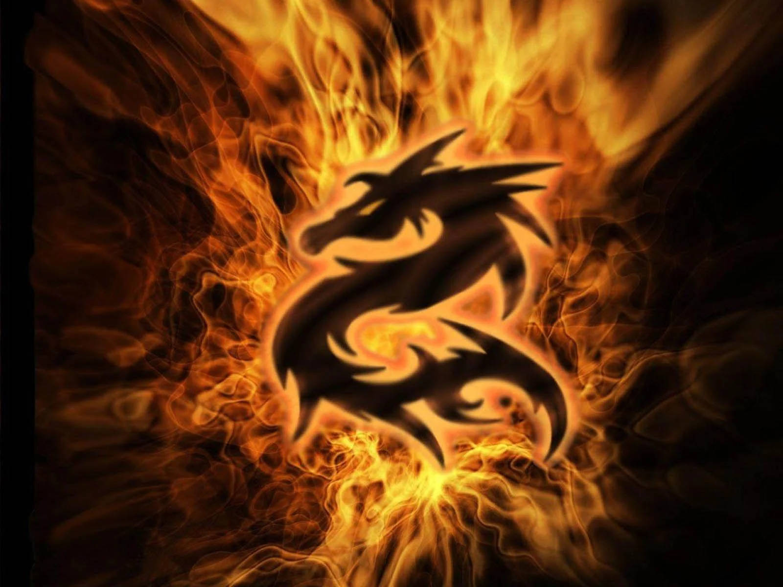 Flaming Really Cool Dragons Fire Wallpaper