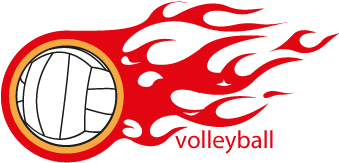 Flaming Volleyball Logo PNG
