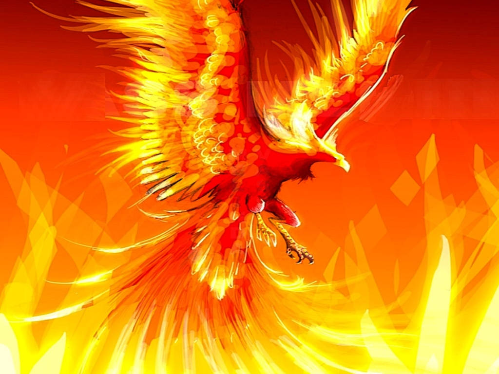 Flaming Wings In The Night Sky Wallpaper
