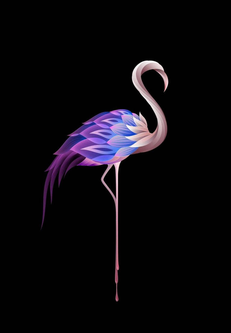 Flamingo Art Ipad 2021 Wallpaper