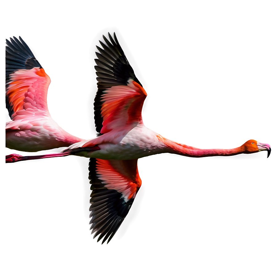 Flamingo Flock In Flight Png Osu PNG