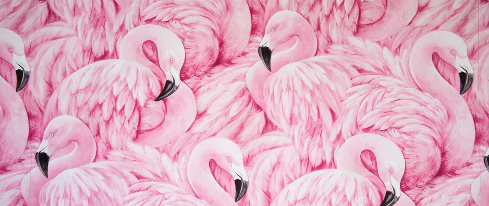 Arbejd med stil med Flamingo Laptop Tapet. Wallpaper