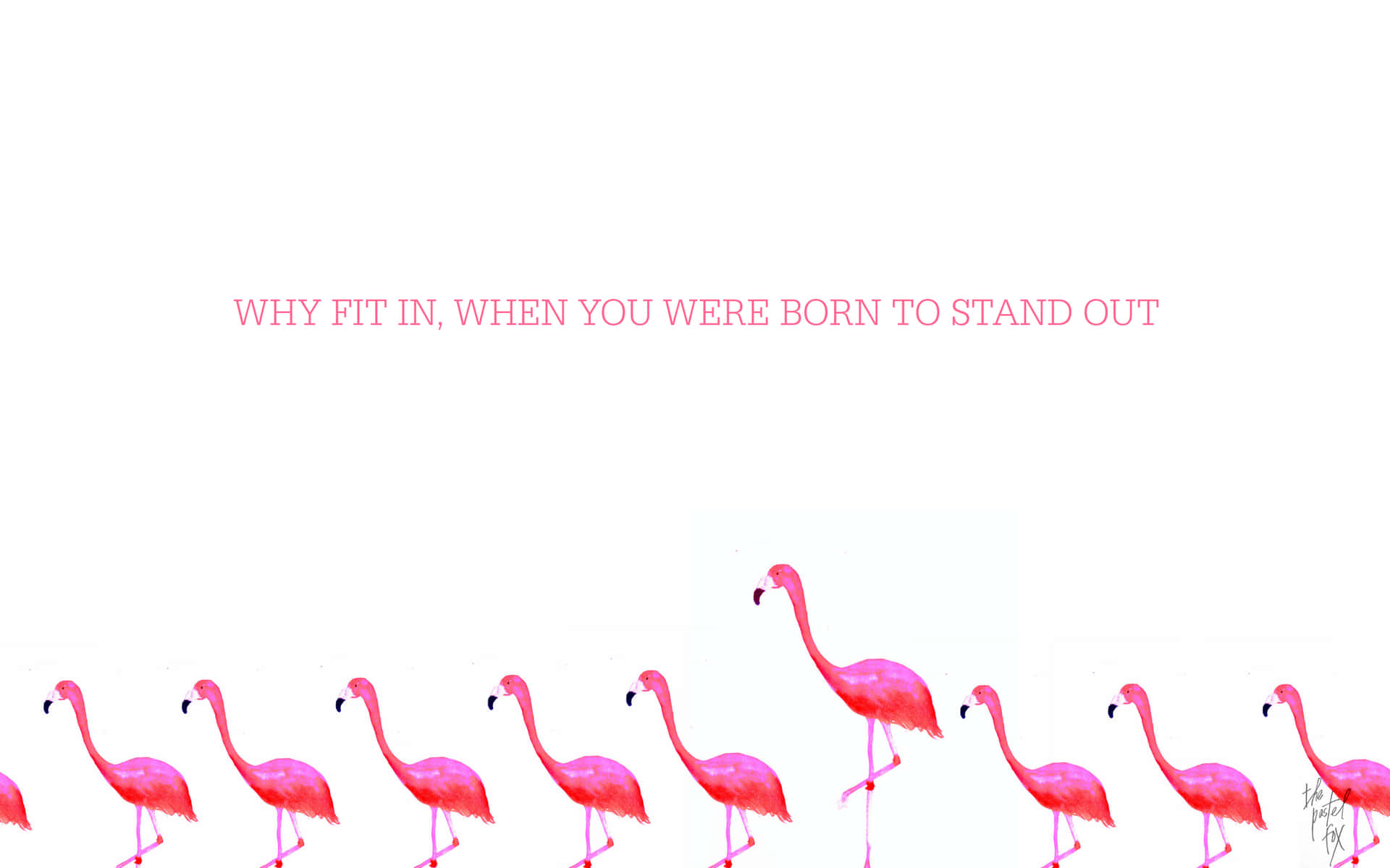 Werdeleuchtend Und Stilvoll Mit Diesem Flamingo-laptop. Wallpaper