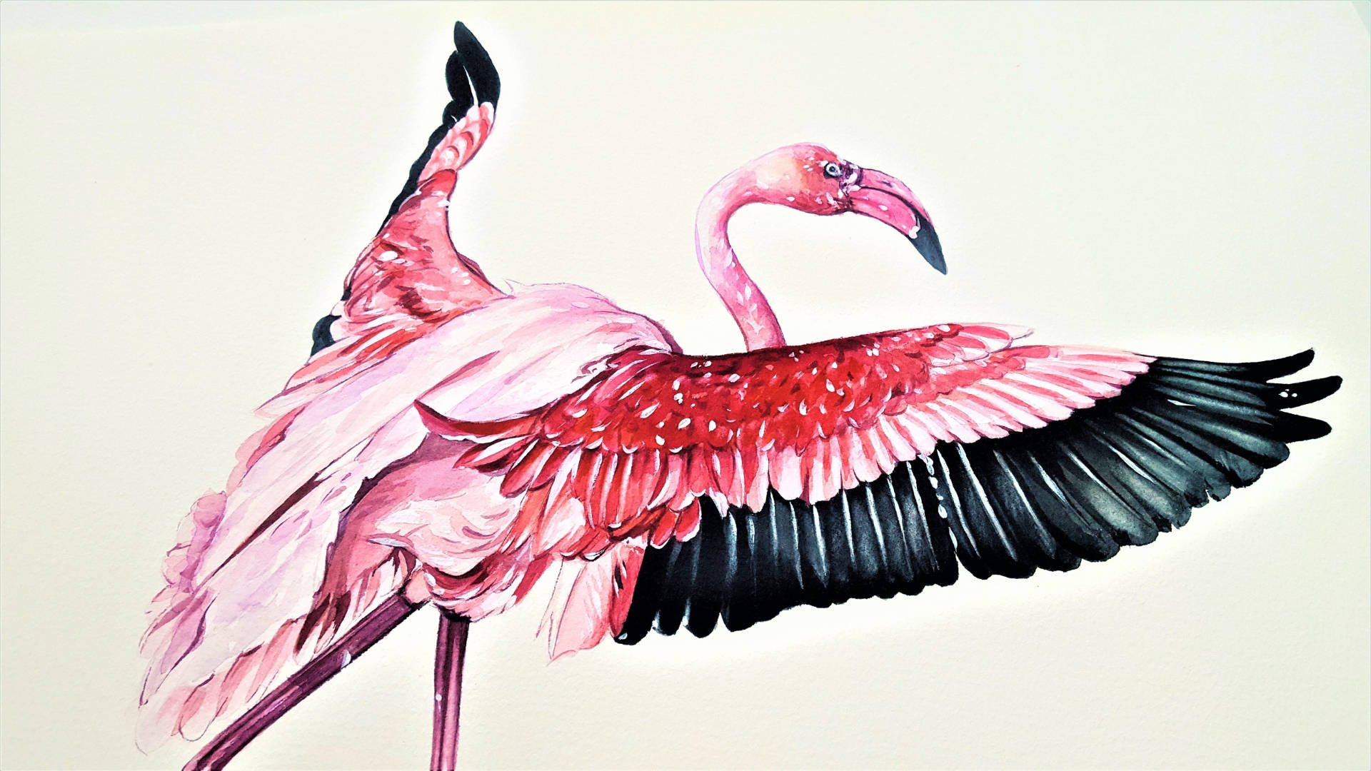 Flamingo Painting Desktop Wallpaper