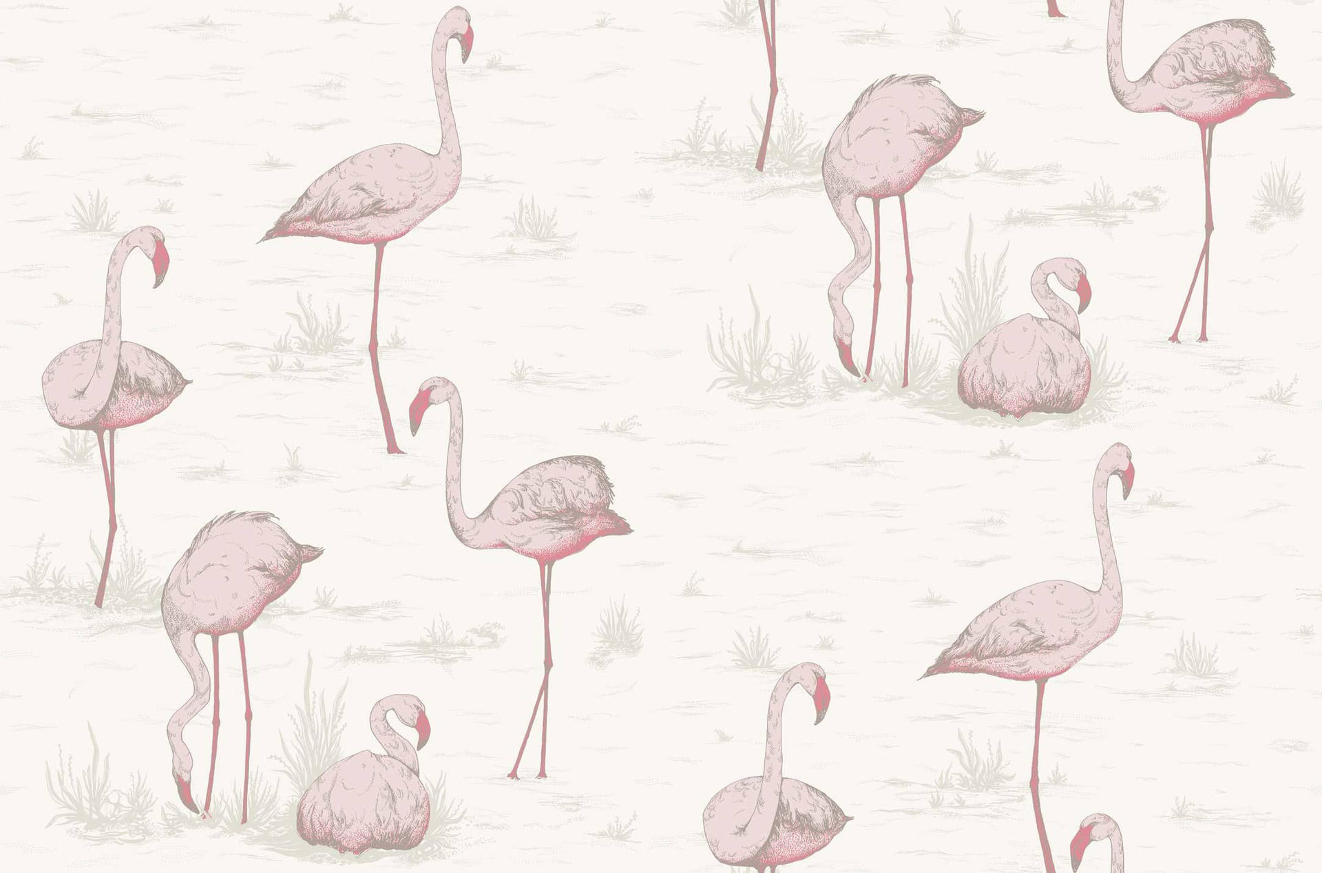 Flamingo White Pattern Wallpaper