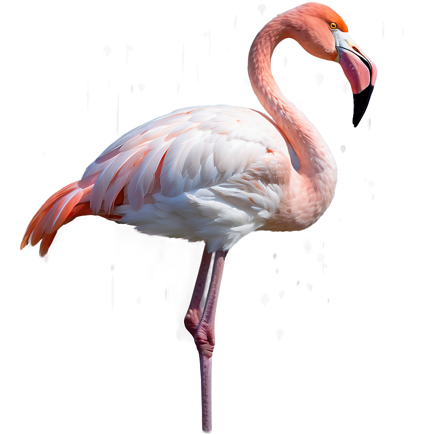 Flamingo Winter Wonderland Png Geo PNG