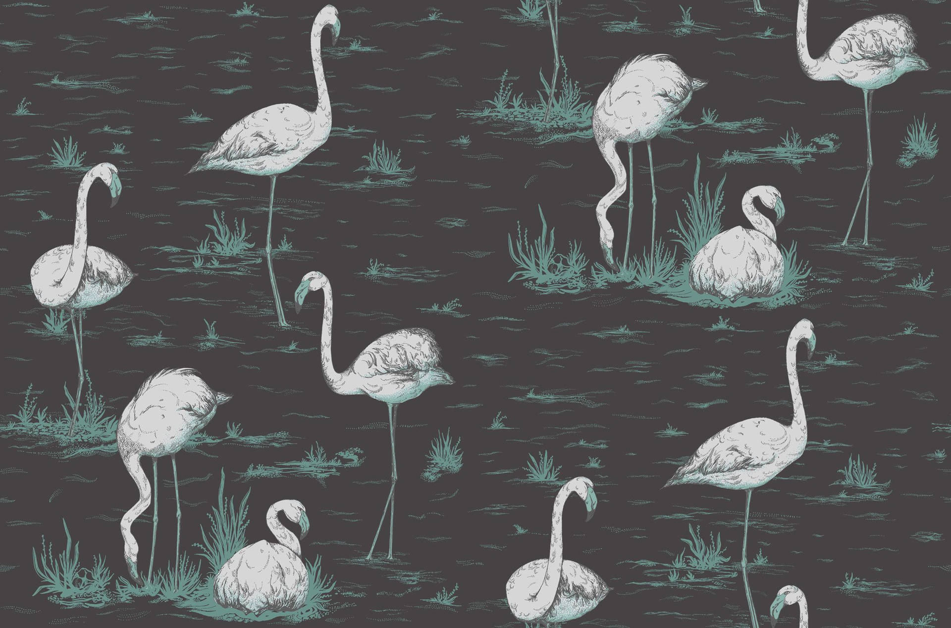 Flamingos Teal And Black Pattern Wallpaper