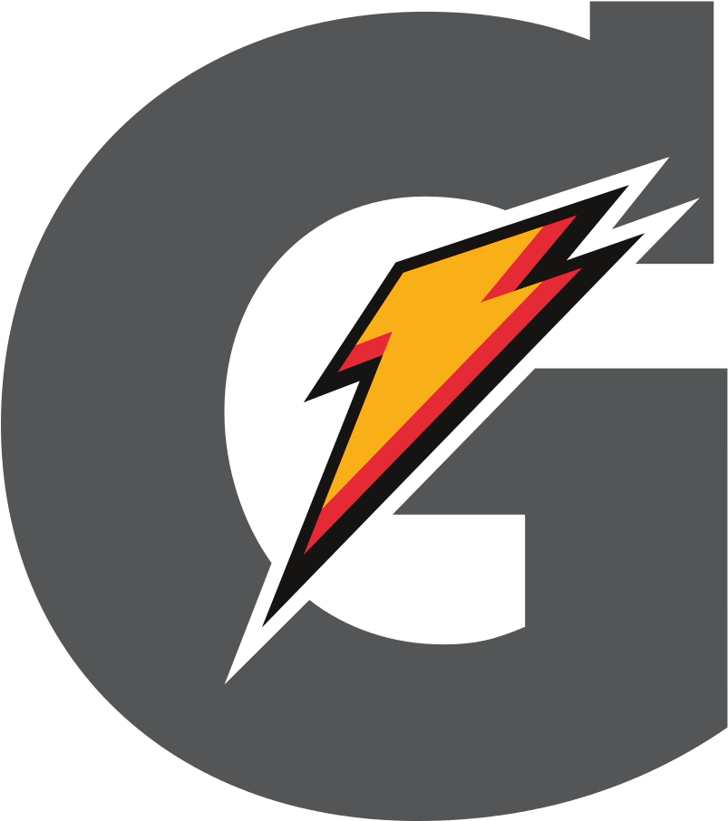 Flash Logo Icon PNG