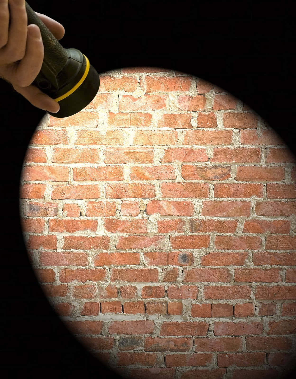 A Person Holding A Flashlight In Front Of A Brick Wall